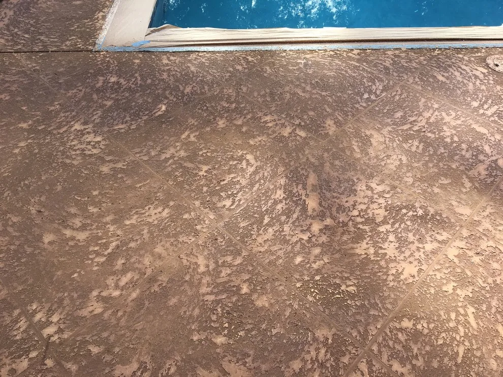 Timber and Concrete Stain by Ewing Pool & Spa - Photo 31