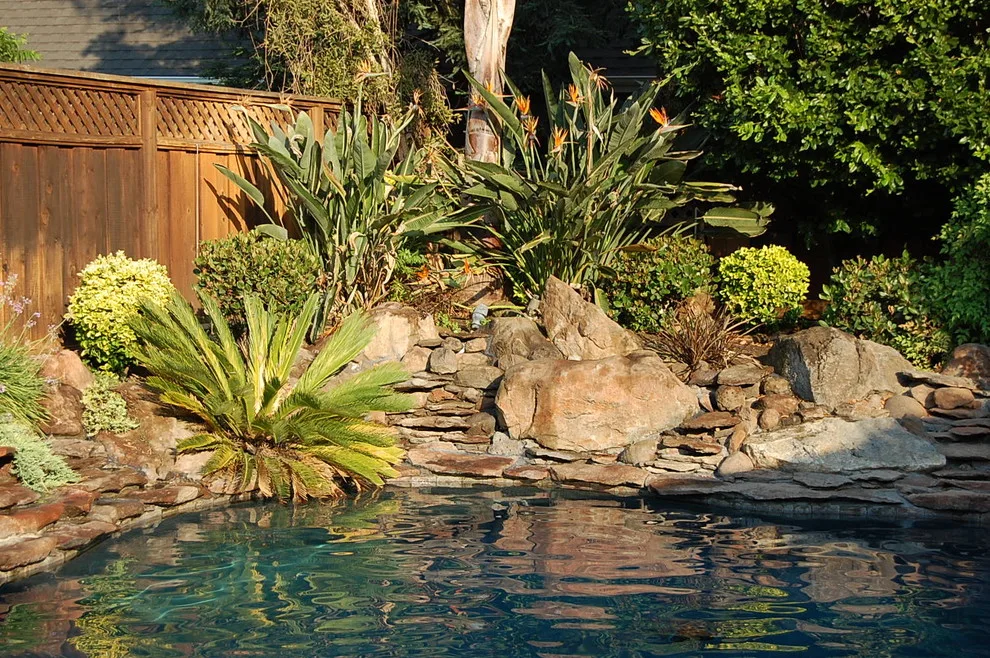 Aquatic Elements by M&M Builders - Photo 3