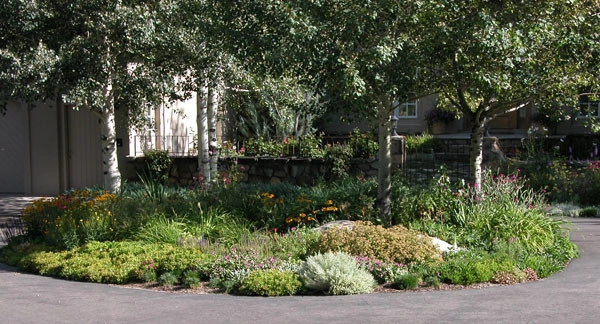 SHC Nursery & Landscape Co - Photo 6