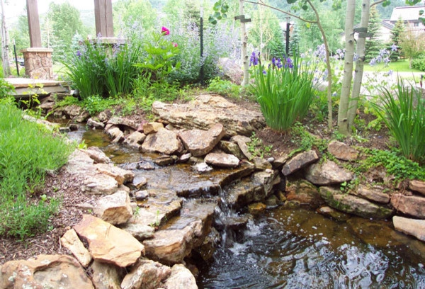 SHC Nursery & Landscape Co - Photo 14