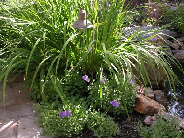 Landscape Design with Clever Planting by SHC Nursery & Landscape Co - Photo 4