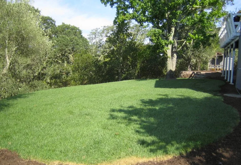 Arid Stream Channels by Tarantino's Yardscapes - Photo 5