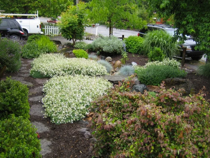 Arid Stream Channels by Tarantino's Yardscapes - Photo 3