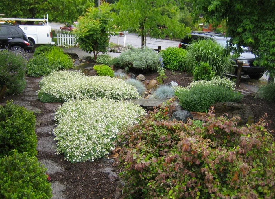 Arid Stream Channels by Tarantino's Yardscapes - Photo 2