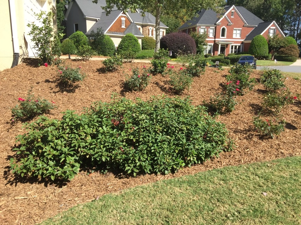 East Cobb - Yard Enhancements by SHM Landscape - Photo 5