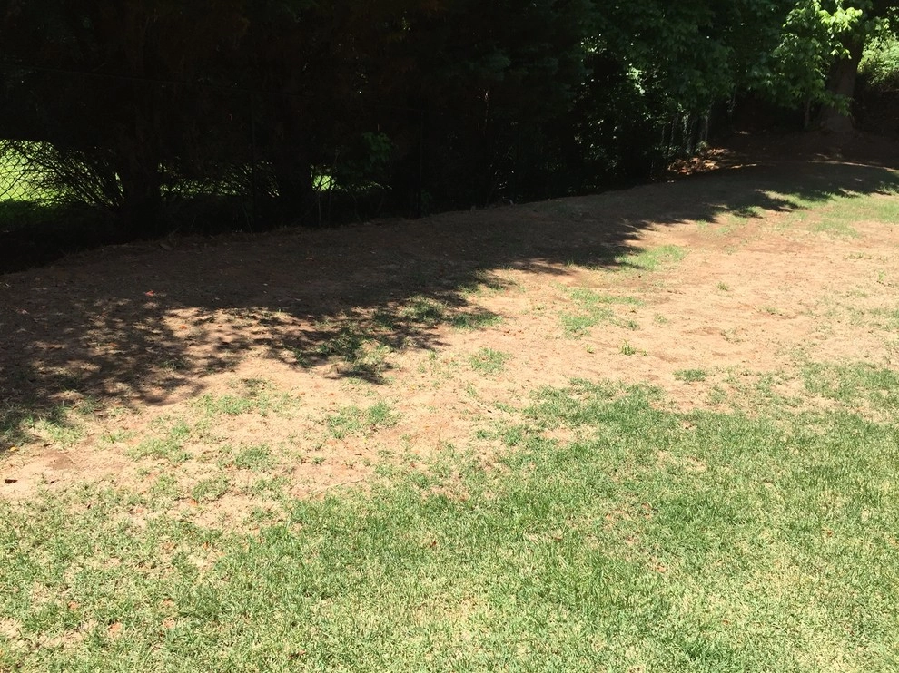 Sandy Springs BackYard Enhancement by SHM Landscape - Photo 9