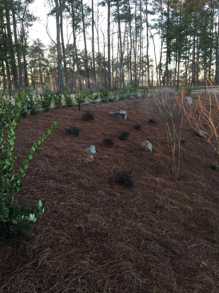 Alpharetta Yard Enhancements by SHM Landscape - Photo 30
