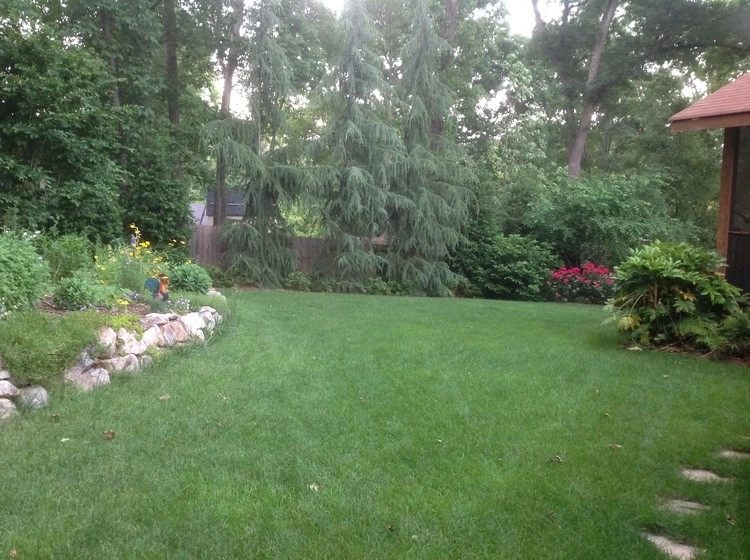 Roswell Backyard by SHM Landscape - Photo 4
