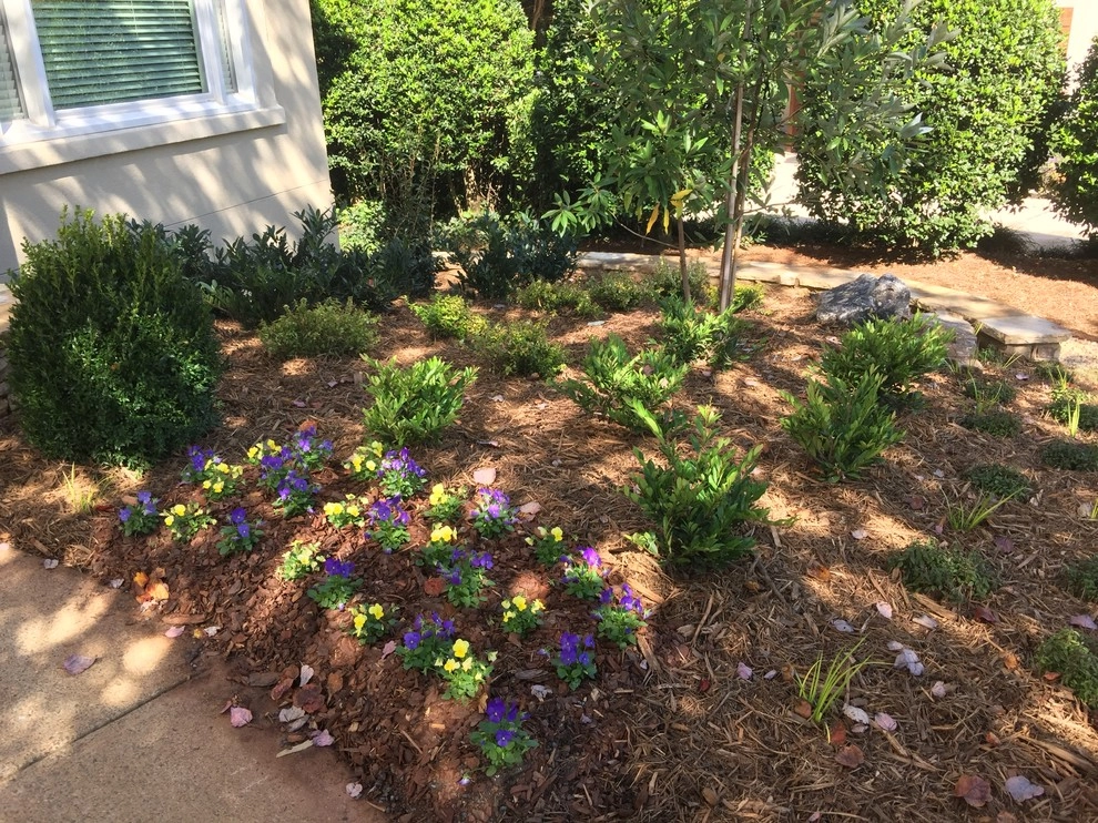 East Cobb - Yard Enhancements by SHM Landscape - Photo 9
