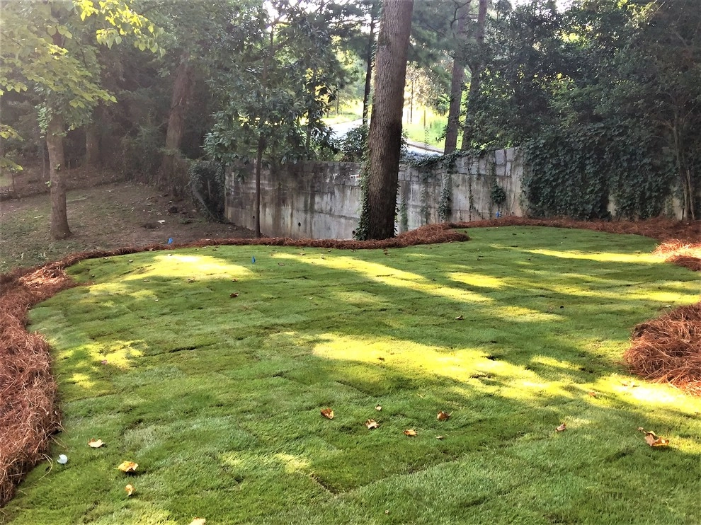 Morningside Yard Renovation by SHM Landscape - Photo 3