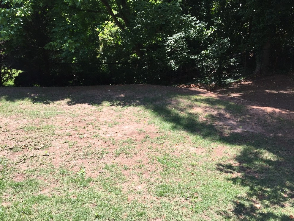 Sandy Springs BackYard Enhancement by SHM Landscape - Photo 8