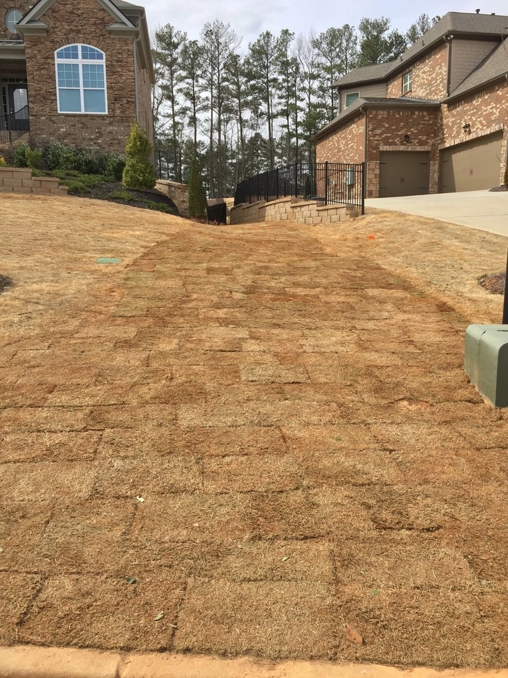 Alpharetta Yard Enhancements by SHM Landscape - Photo 9