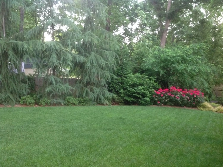 Roswell Backyard by SHM Landscape - Photo 2