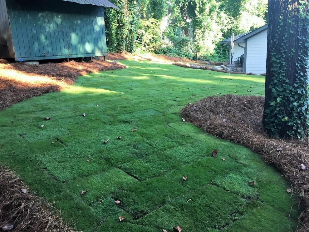 Morningside Yard Renovation by SHM Landscape - Photo 10