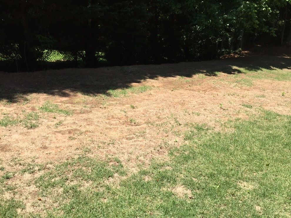 Sandy Springs BackYard Enhancement by SHM Landscape - Photo 4