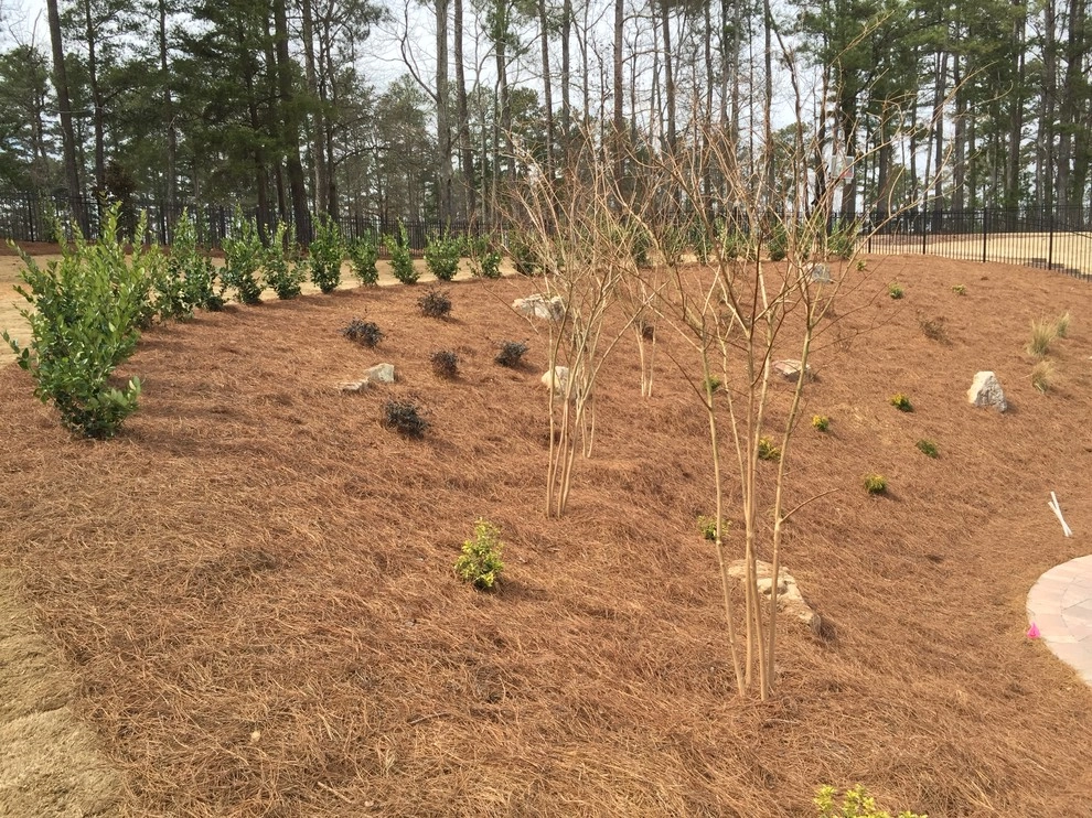 Alpharetta Yard Enhancements by SHM Landscape - Photo 15