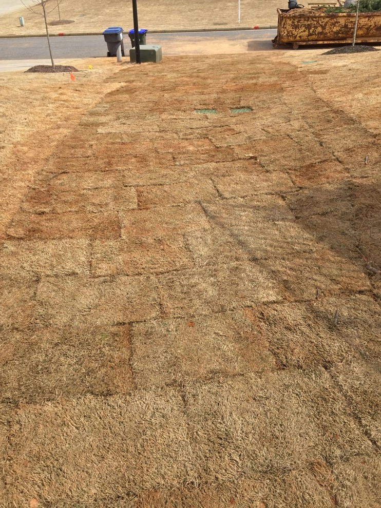 Alpharetta Yard Enhancements by SHM Landscape - Photo 25