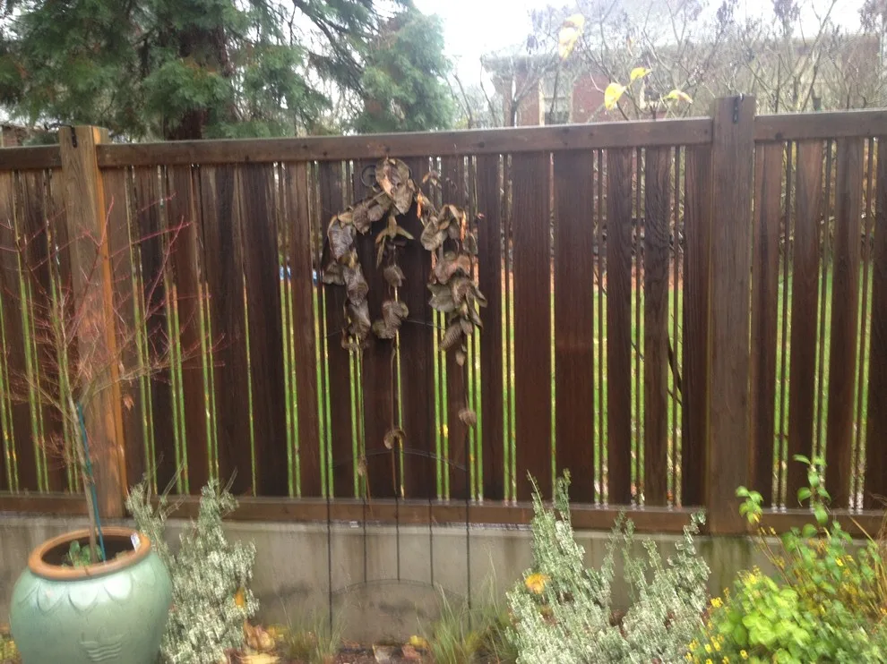 Enclosure by PCF Construction Group - Photo 15