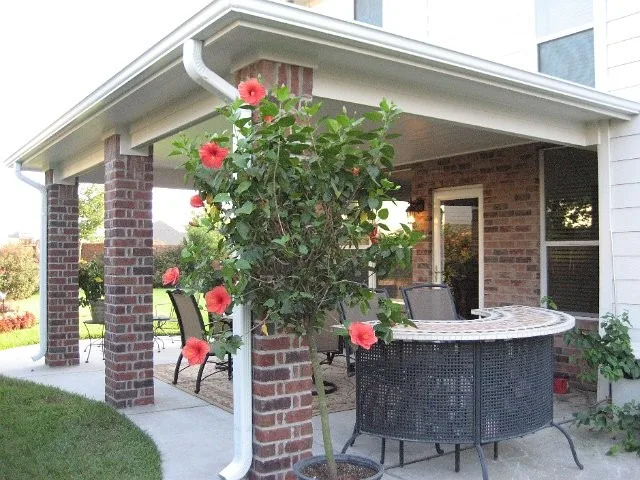 Tailored Outdoor Enclosures by N And V Patio, Construction & Remodeling, LLC. - Photo 5