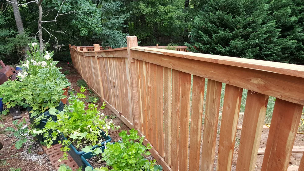 Charlotte Cedar Project by Good Charlotte Cedar - Photo 10