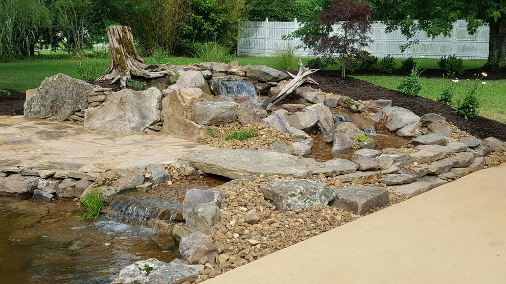 Carter's Nursery, Pond & Patio - Photo 14