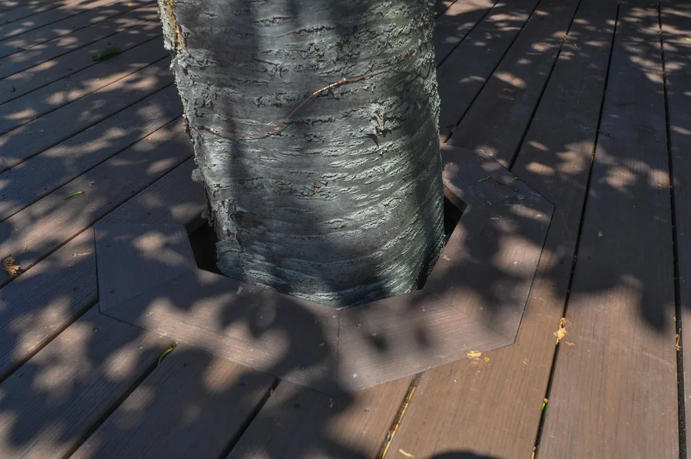 Open Space Design Decks - Photo 4