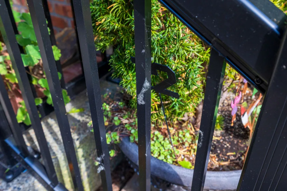 Holmer Initiative by Timberline Patio Covers - Photo 2