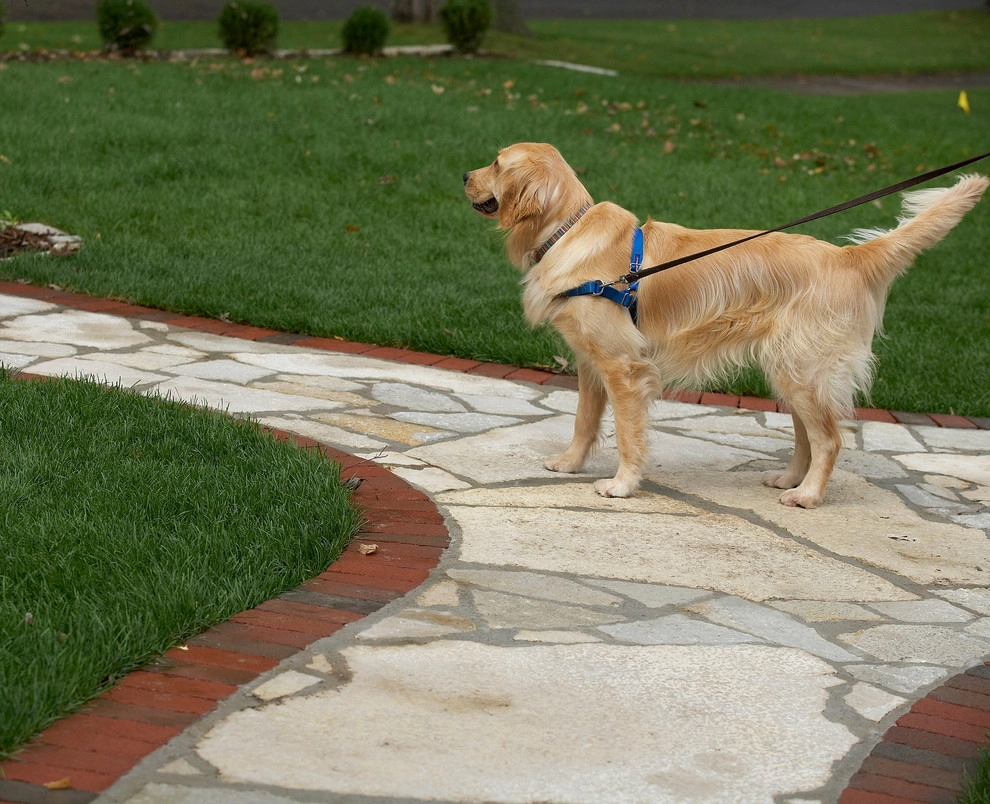 Custom Walkway by Signature Patio & Landscape Co. - Photo 3