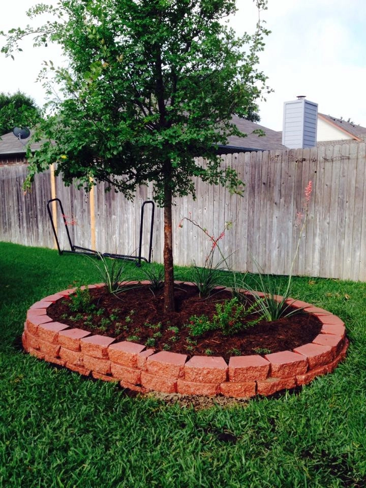 Lawns & Landscaping by Silverado Lawn & Landscaping - Photo 10