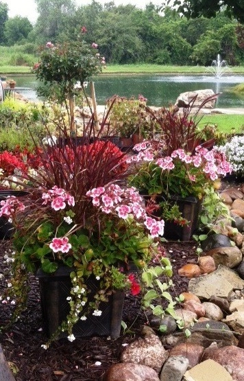 Synergy Farms and Development, Inc. by Sirco Scape, LLC - Photo 2