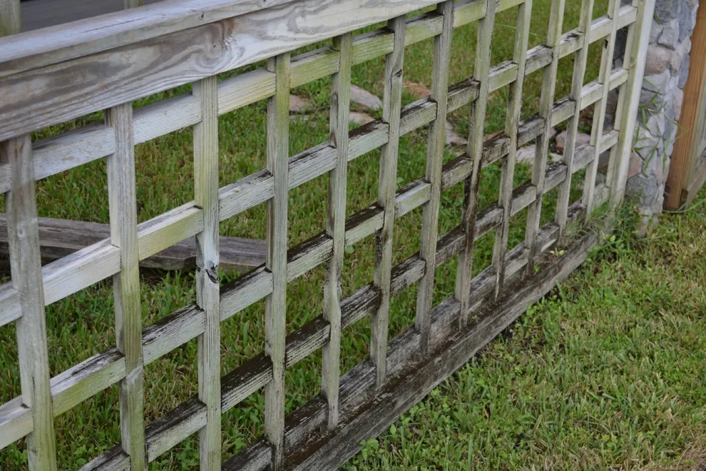 Jupiter Farms Animal Habitat by Renew Crew Of Palm Beach County - Photo 8