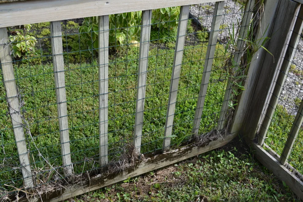 Jupiter Farms Animal Habitat by Renew Crew Of Palm Beach County - Photo 2