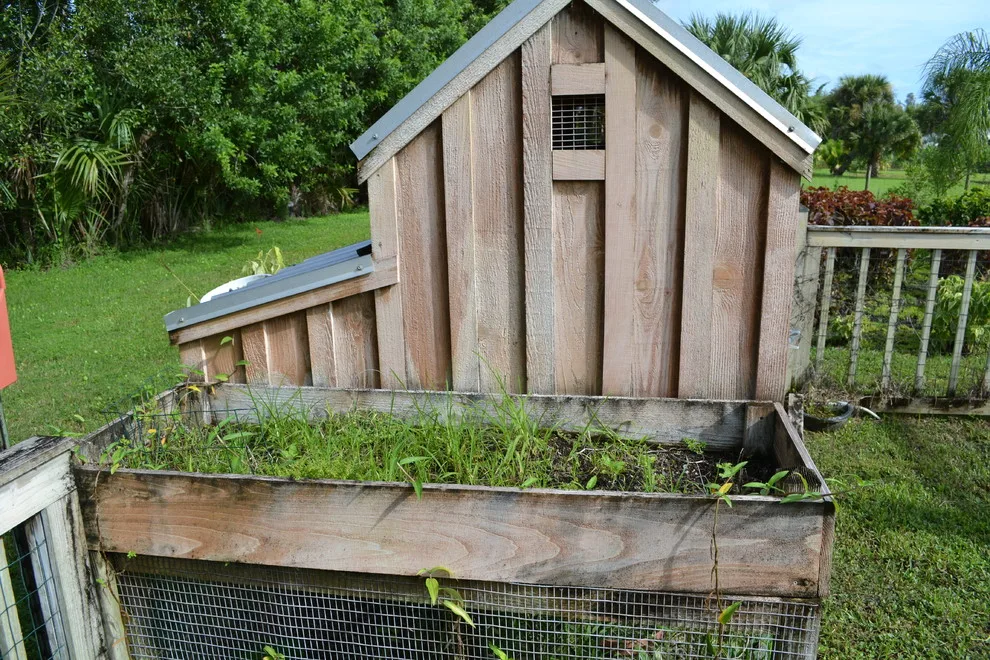 Jupiter Farms Animal Habitat by Renew Crew Of Palm Beach County - Photo 6