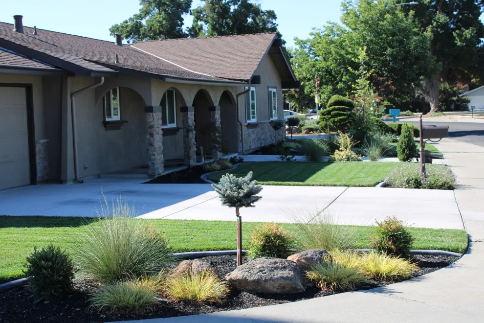 Landscape Construction and Design by SC Construction - Photo 16