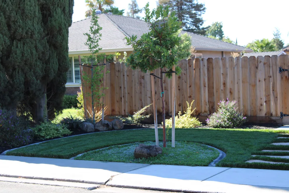 Landscape Construction and Design by SC Construction - Photo 18
