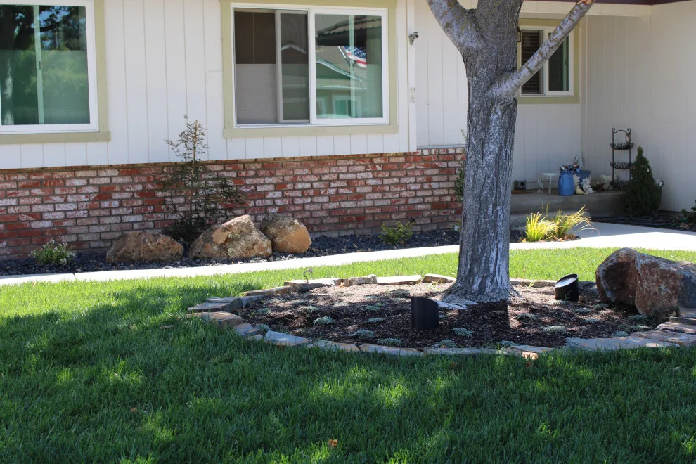 Landscape Construction and Design by SC Construction - Photo 8