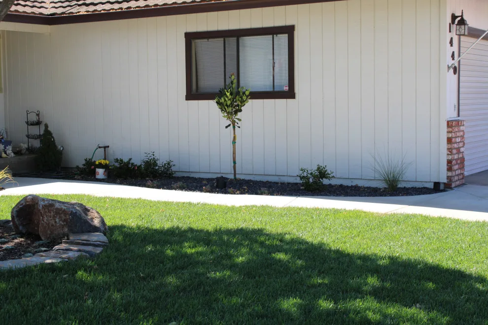 Landscape Construction and Design by SC Construction - Photo 4
