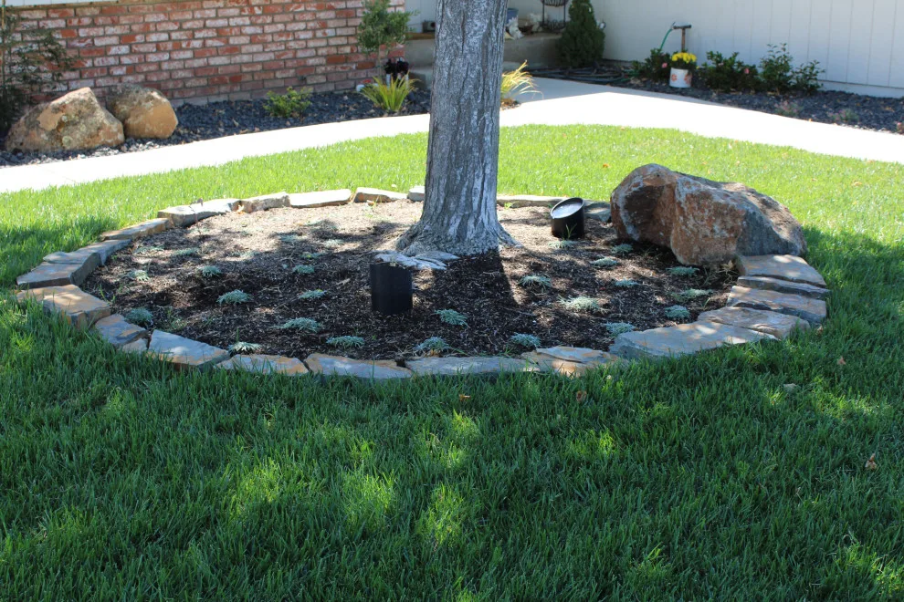 Landscape Construction and Design by SC Construction - Photo 2