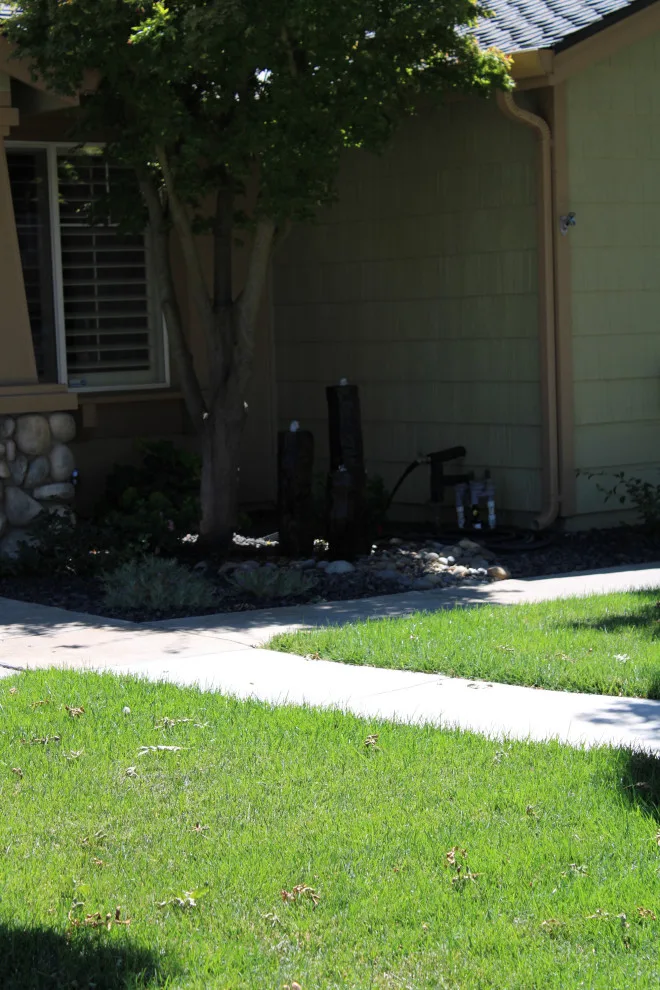 Landscape Construction and Design by SC Construction - Photo 21