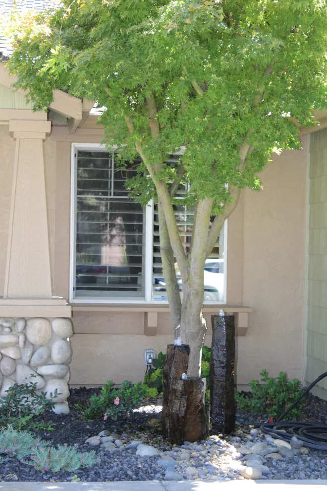 Landscape Construction and Design by SC Construction - Photo 5