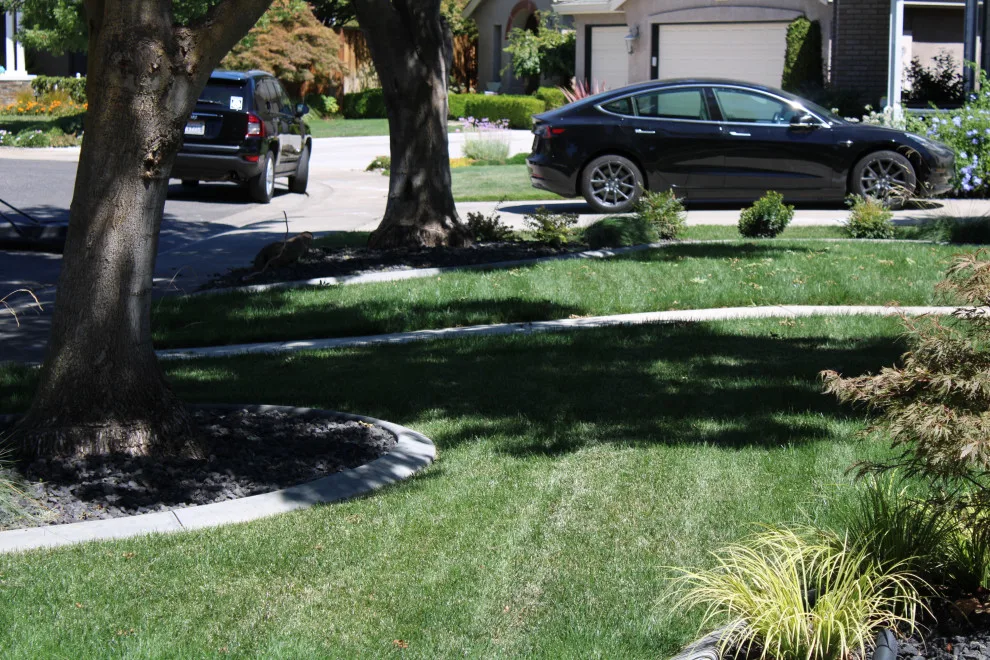 Landscape Construction and Design by SC Construction - Photo 10