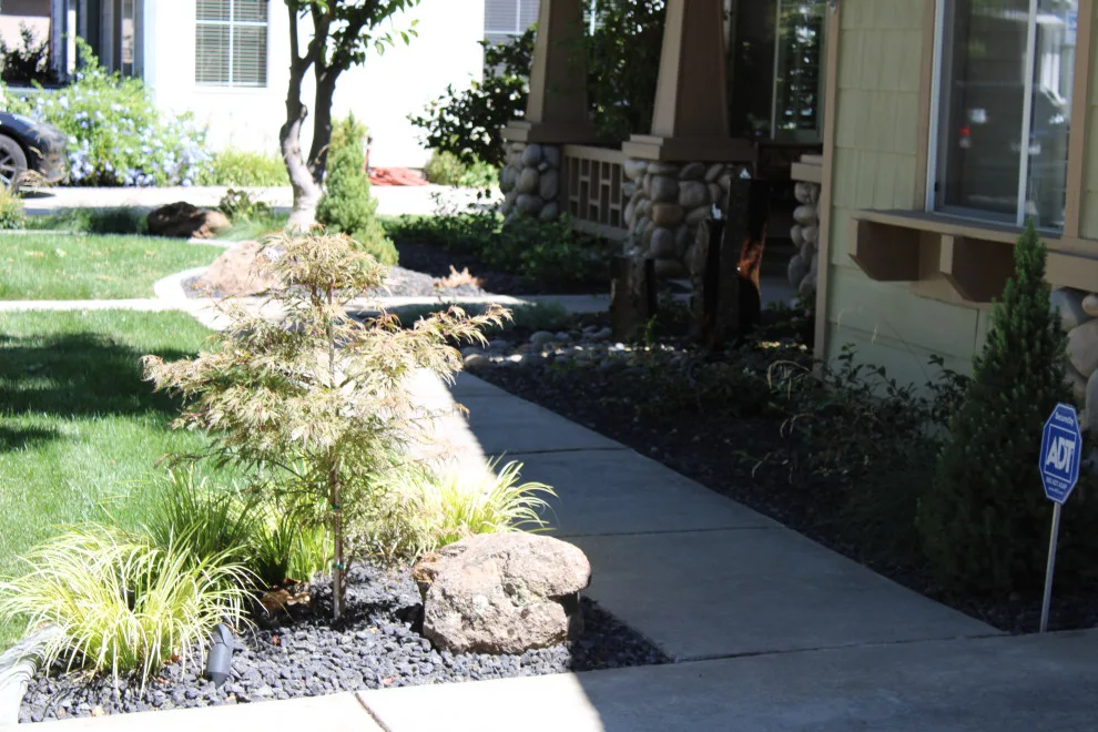 Landscape Construction and Design by SC Construction - Photo 14