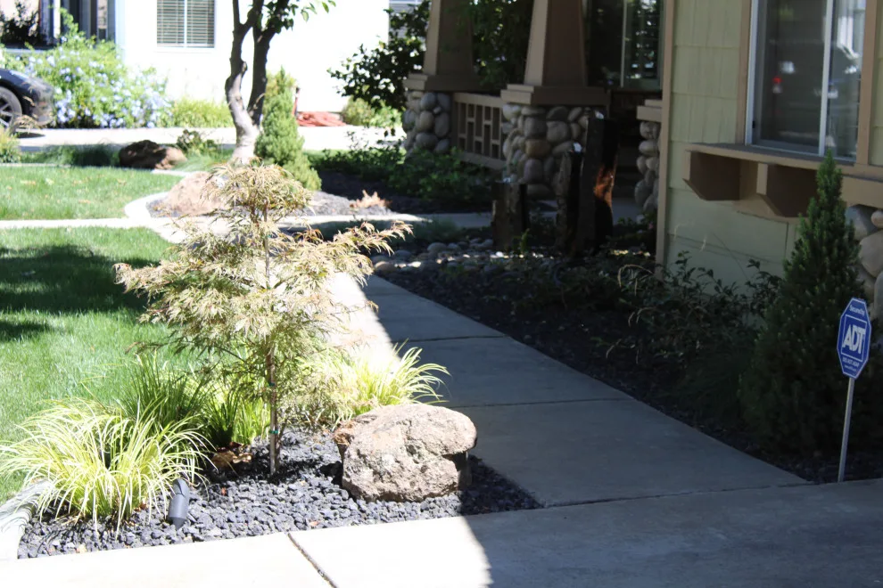Landscape Construction and Design by SC Construction - Photo 13