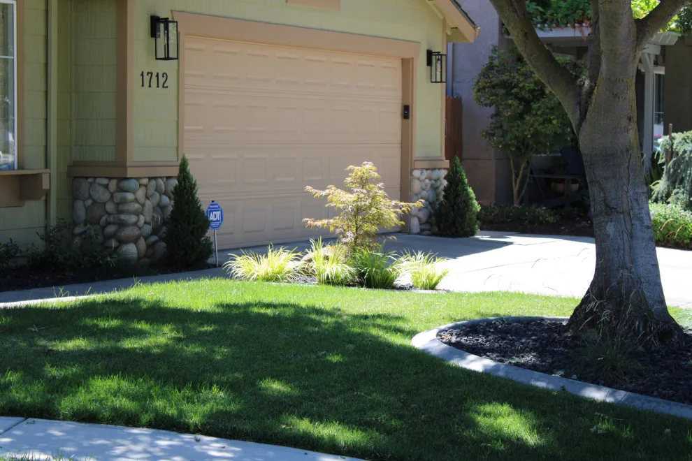 Landscape Construction and Design by SC Construction - Photo 24