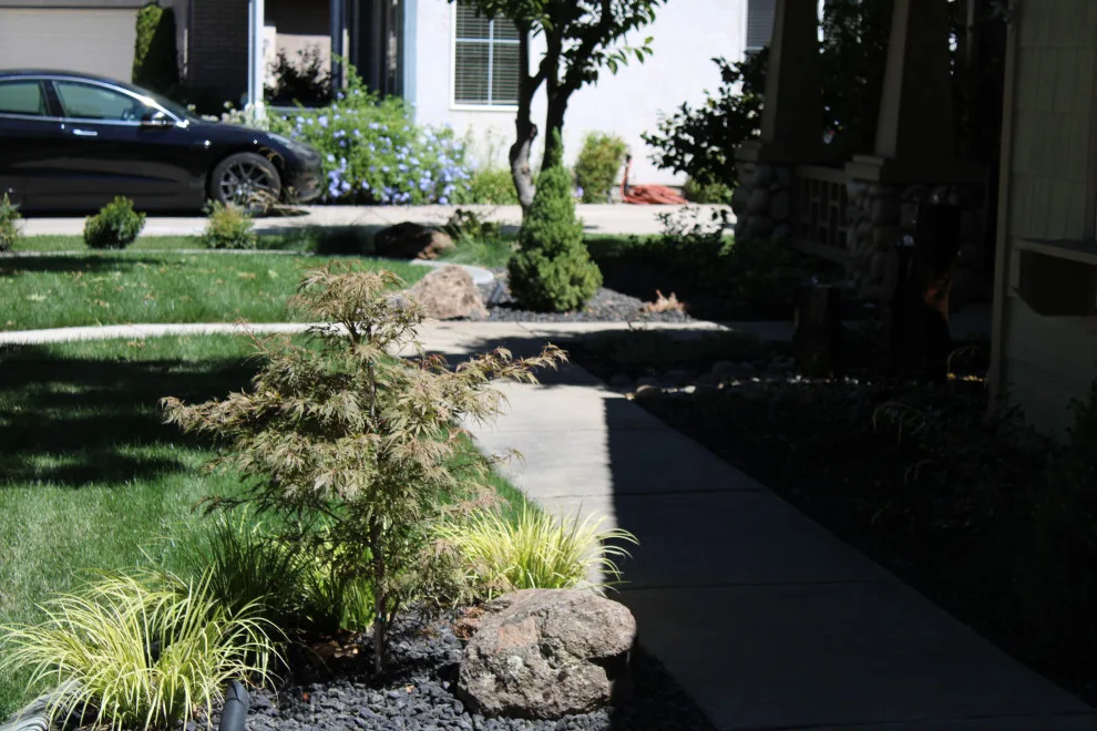 Landscape Construction and Design by SC Construction - Photo 23
