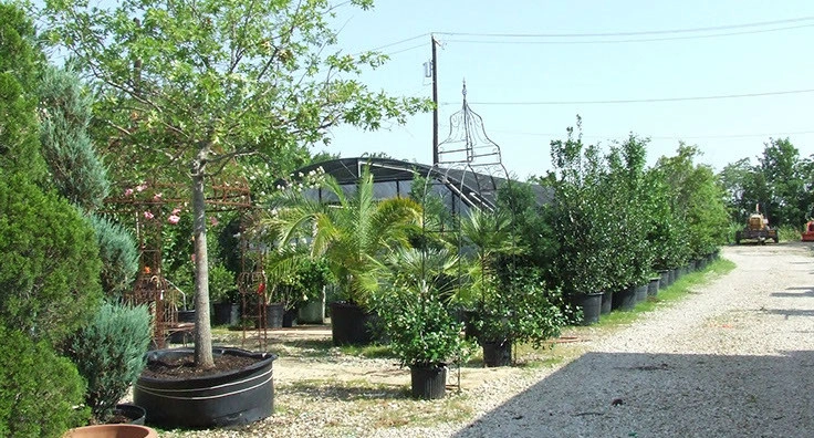 Slater Lawn And Garden Inc. - Photo 10