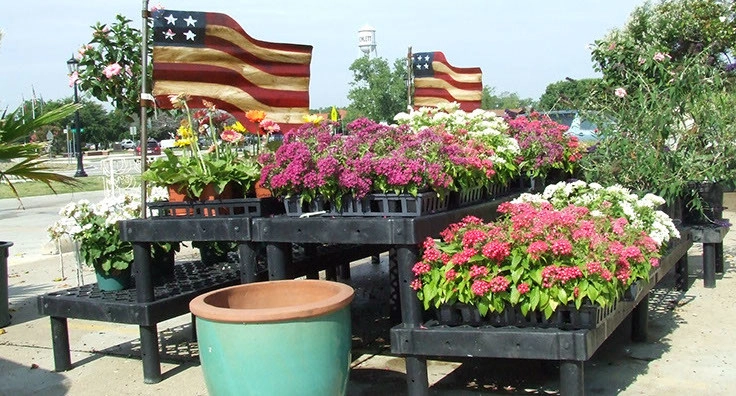 Slater Lawn And Garden Inc. - Photo 13