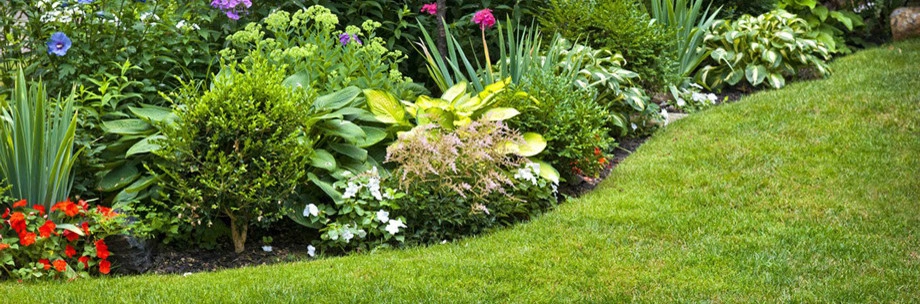 Slater Lawn And Garden Inc. - Photo 12