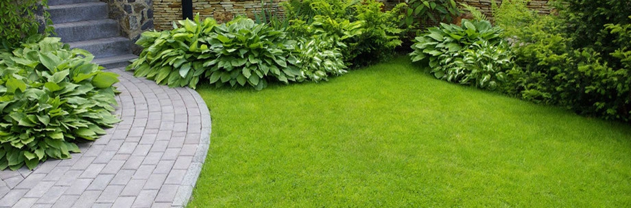 Slater Lawn And Garden Inc. - Photo 7