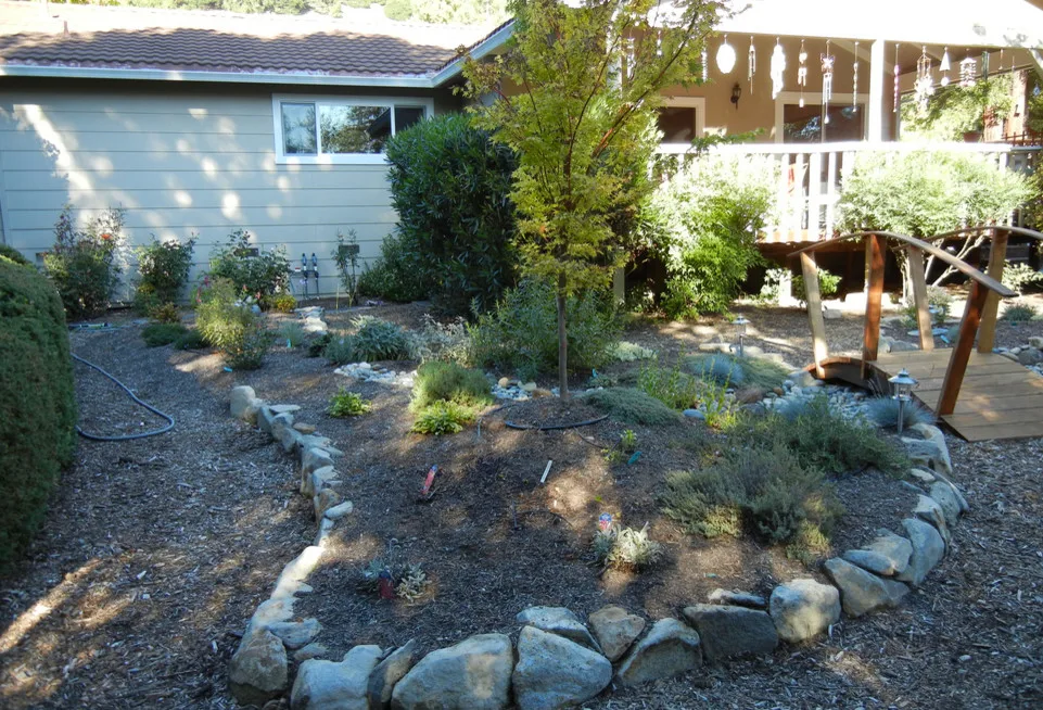 Lenz Project by Tarantino's Yardscapes - Photo 5